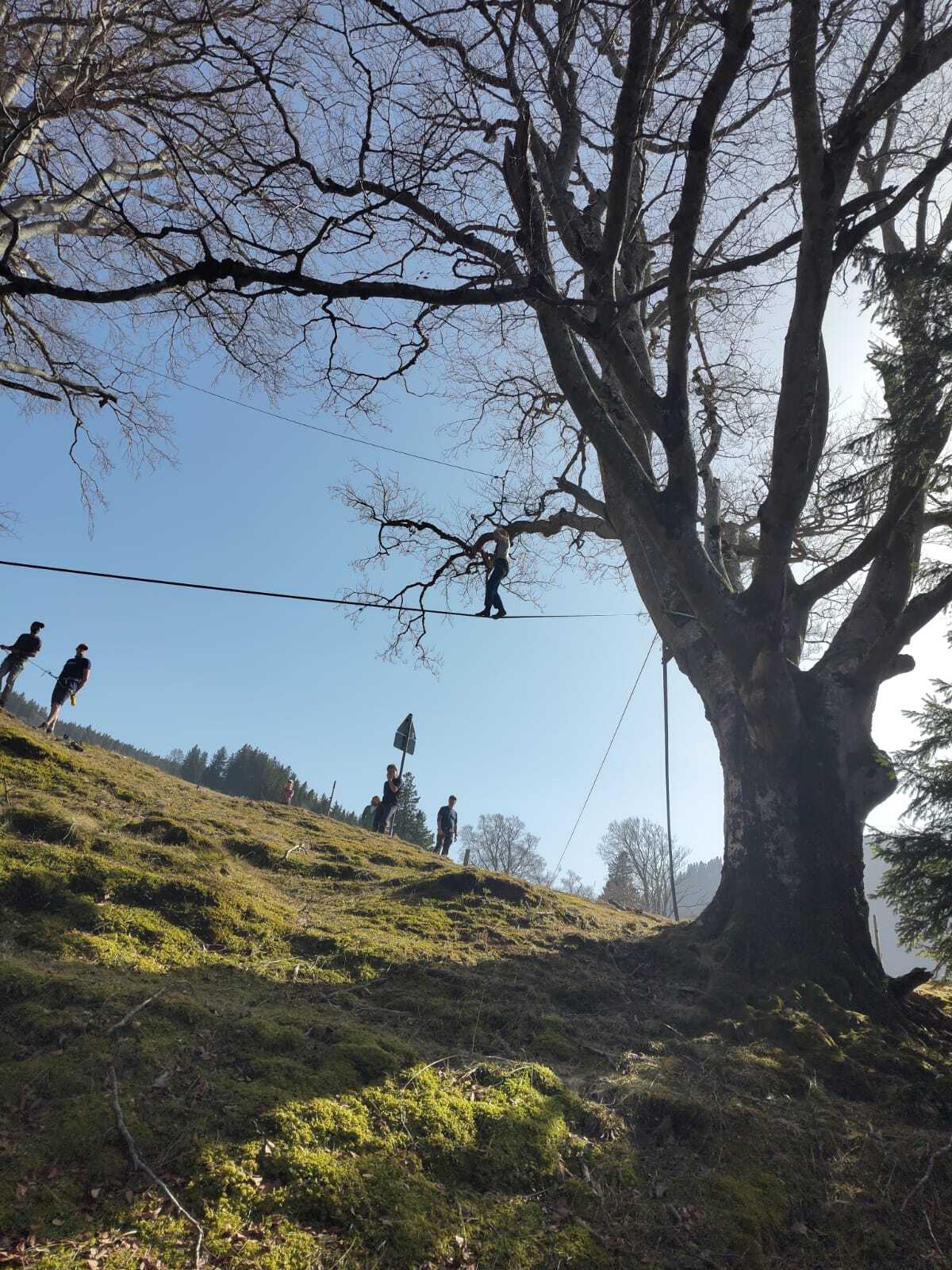 Kletteraktion am Baum