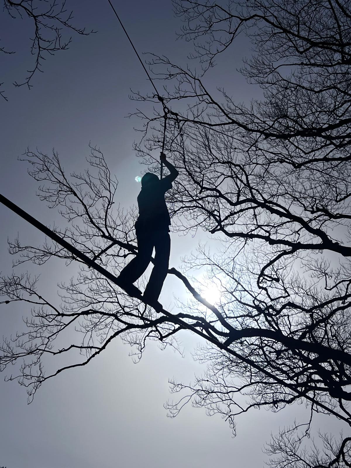 Schulgruppe auf einem Niedrigseilaufbau im Wald